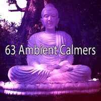 63 Ambient Calmers