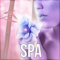 Spa - Relaxing Background Music for Spa, Piano Music, Music for Relaxation, Instrumental Music, Reiki Healing, Luxury Spa, Sounds of Nature, Massage Therapy