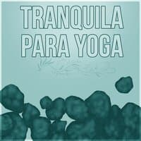 Tranquila para Yoga – Canciones para Dormir, Relajación y Bienestar para Mí, Estresse e Sono, Meditação e Espiritualidade New Age, Bem Estar, Pensamento Positivo, Massagem Música