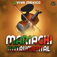 Mariachi Instrumental Mexico