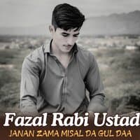 Janan Zama Misal Da Gul Daa