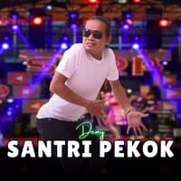 Santri Pekok