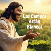 Los Campos Están Blancos