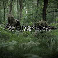 Whispers