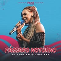 Pássaro Noturno (Ao Vivo em Filipe Bar)