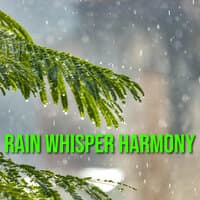 Rain Whisper Harmony