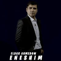 Eneshim