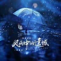 风雨中的遗憾