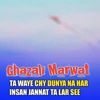 TA WAYE CHY DUNYA NA HAR INSAN JANNAT TA LAR SEE