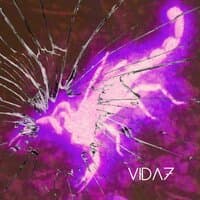 Vida7