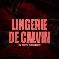 Lingerie da Calvin