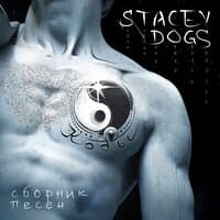 Stacey Dogs