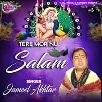 Tere Mor Nu Salam