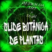 Slide Botanica De Plantas