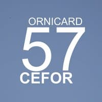 57cefor