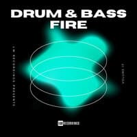 Drum & Bass Fire, Vol. 17