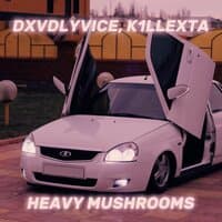 HEAVY MUSHROOMS