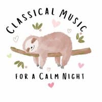 Classical Music For A Calm Night