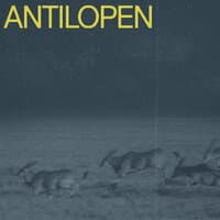 Antilopen