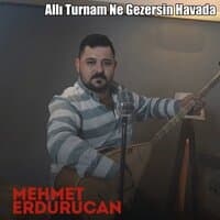 Allı Turnam Ne Gezersin Havada