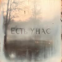 Есть у нас