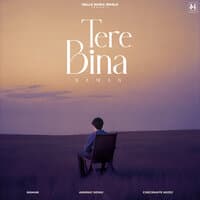 Tere Bina