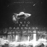 Into the Darkness