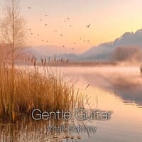 Gentle Guitar