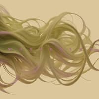 Wave Hairs