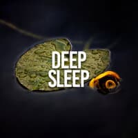 Deep Sleep