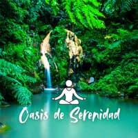 Oasis de Serenidad