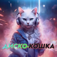 Диско-кошка