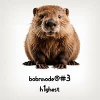 Bobrmode@#3