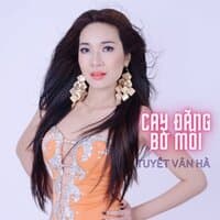 Cay Đắng Bờ Môi