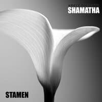 Stamen