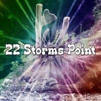 22 Storms Point