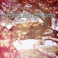 Freedom Through Storms