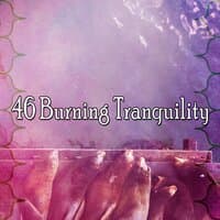 46 Burning Tranquility