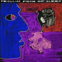 Peculiar Form of Sleep