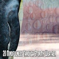 20 Mindfulness Through Stormy Weather