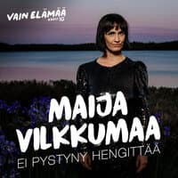 Ei pystyny hengittää (Vain elämää kausi 10)