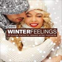 Winterfeelings 2015 - 30 Lounge Tracks for Relaxed Winter Moments