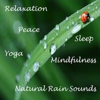 10 of the Best Natural Rain Sounds for Sleep and Wellbeing, Relaxation, Insomnia, Tinnitus and Mood Lifting