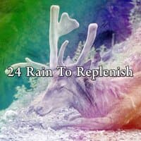 24 Rain to Replenish