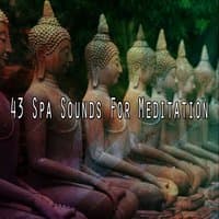 43 Spa Sounds For Meditation