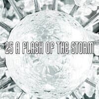 25 A Flash of the Storm