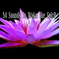 54 Sounds To Wake The Spirit