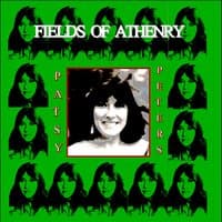 Fields of Anthenry