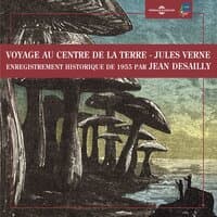 Jules Verne : voyage au centre de la terre