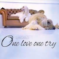 One Love One Try